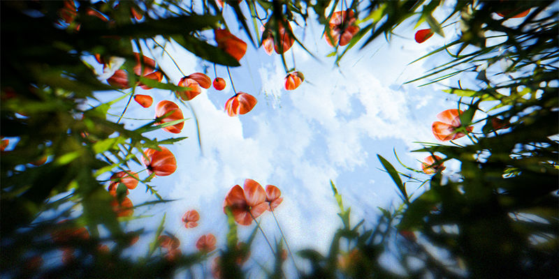 Clouds meadow blur.jpg