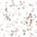 Leaves.png