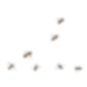 Bees.png