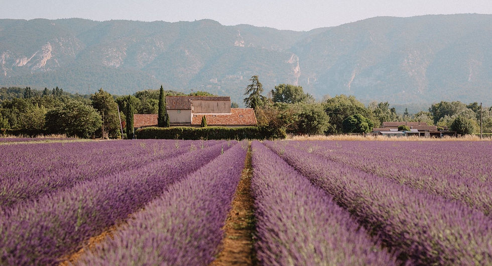 SouthofFrance_ProvenceGuide-FindUsLost_edited.jpg