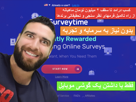 کسب درآمد از سایت معتبر نظرسنجی Surveytime.io