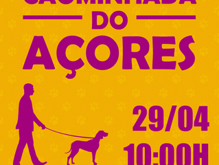 VEM AI UMA FESTA CANINA NO BALNEÁRIO DOS AÇORES