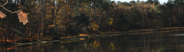 DSC_0310.JPG