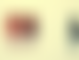 How I Lead The Team and the Challenges That Goes With It