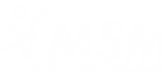 MSM copy.png