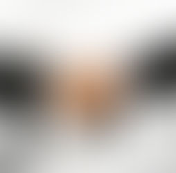 Was ist Schiedsgerichtsbarkeit?