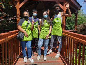 Meet our Summer Interns!