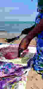 123_1-5