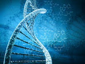 dna.jpg