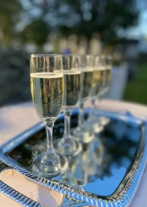 Wedding Champange Toast
