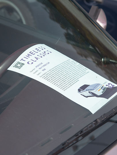 Timeless Classics - Rassemblement ANPA Haguenau Juillet 2025