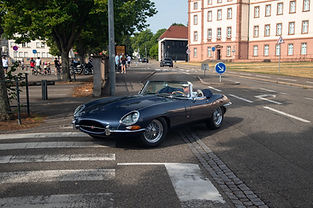 Timeless Classics - Rassemblement ANPA Haguenau Juillet 2025