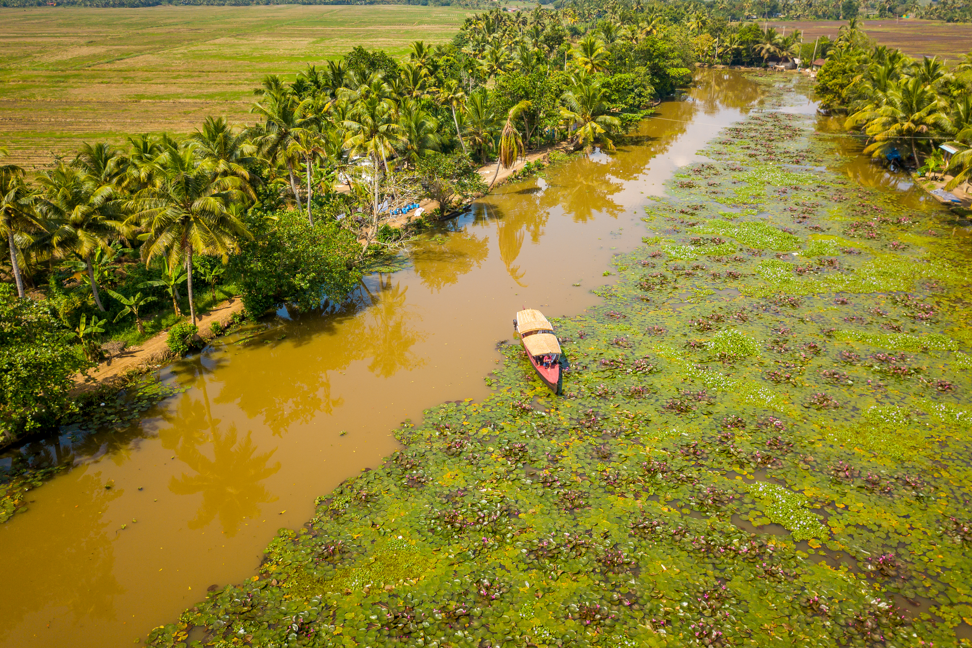 Kumarakom