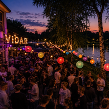 vidar-banner.png