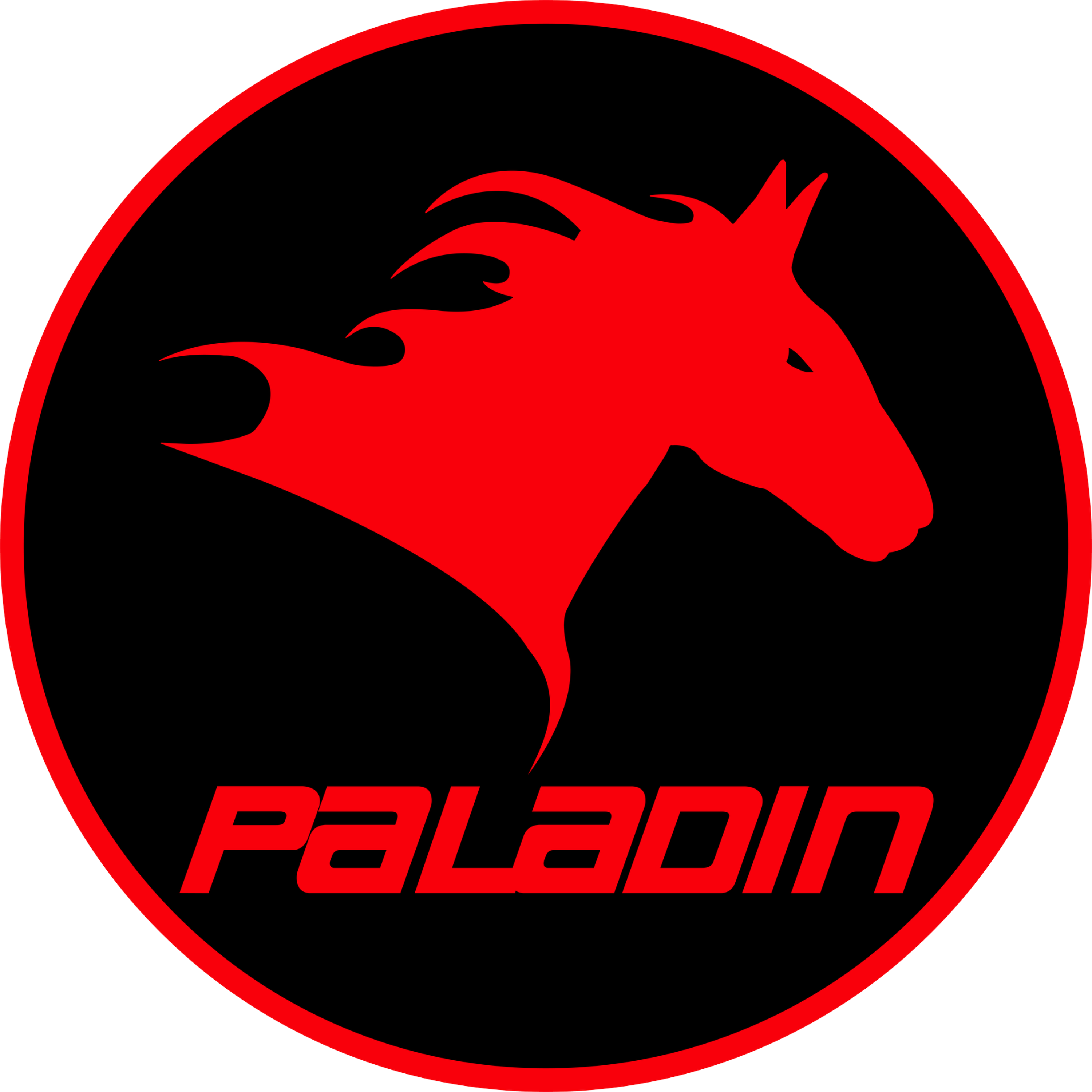 Best CCW Training in Contra Costa & Alameda | Paladin Tactical