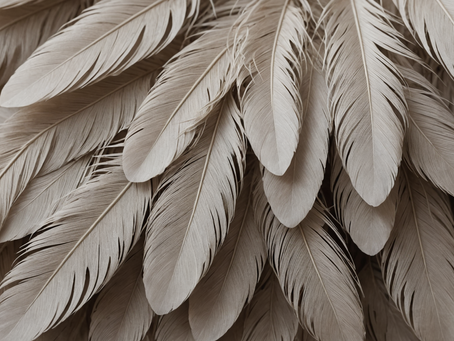 As a Feather