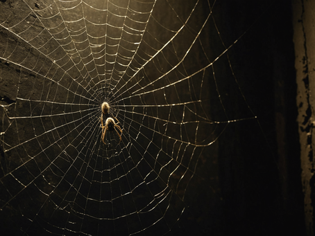 Cobwebs