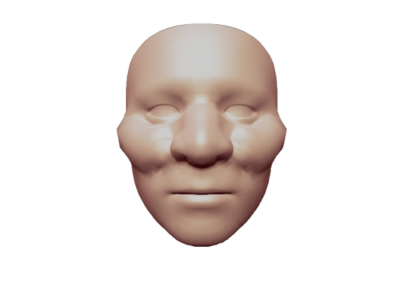 MESH.png