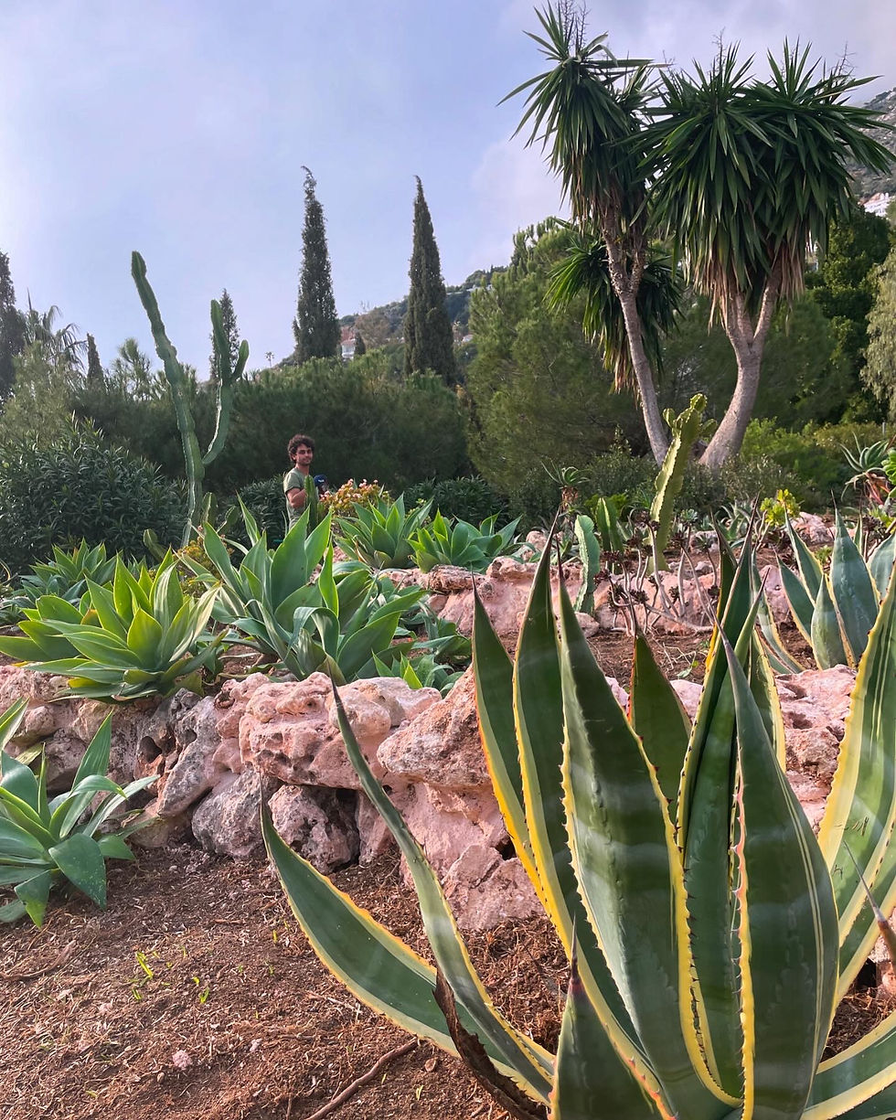 Evening Mediterranean sun gives a warm feel to this composition