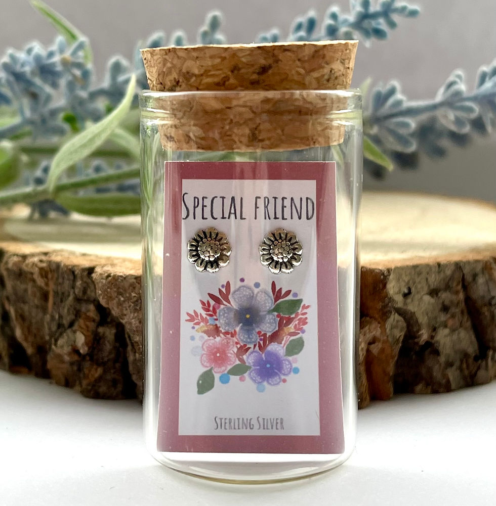 "Special Friend" Sterling Silver Earrings in a Bottle