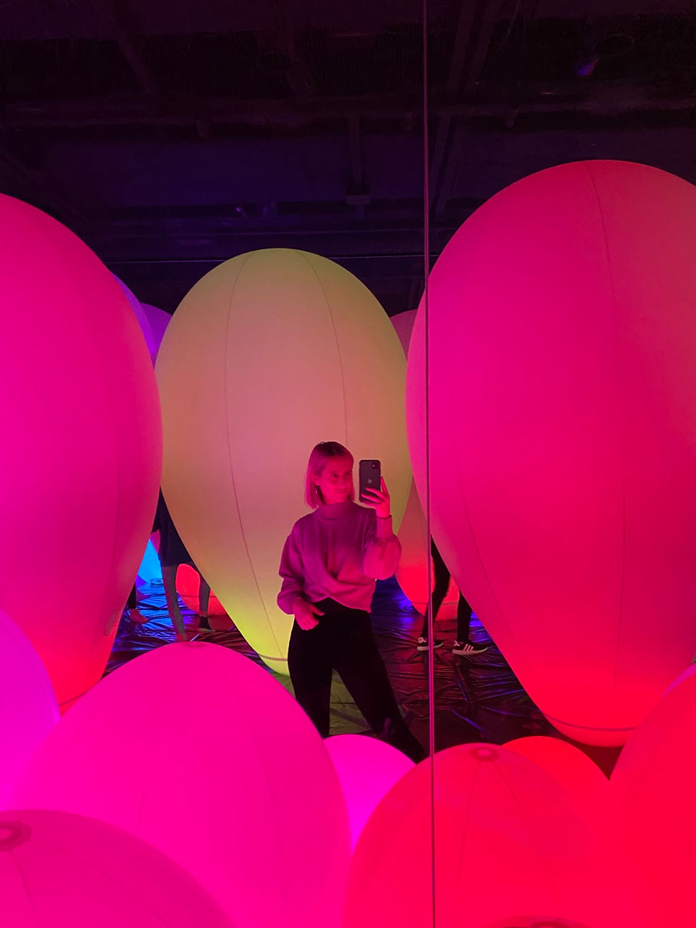 TeamLab Borderless - Tokyo, Japan