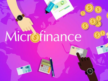 What Drives Turkey to Microfinance