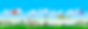 INTRO-EMERALD-FONDO-LARGO-MONTANDO.png