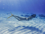 Snorkeling adventures