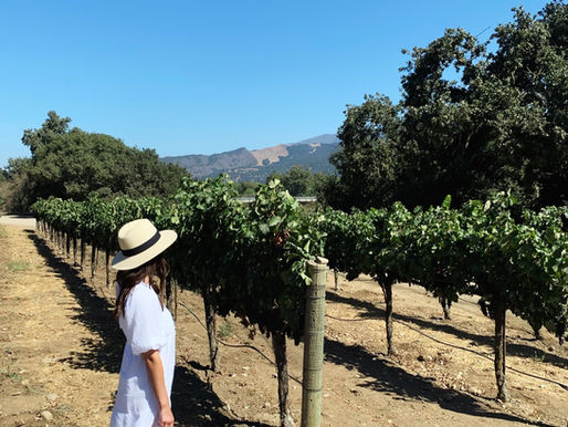 Santa Ynez Valley Travel Guide