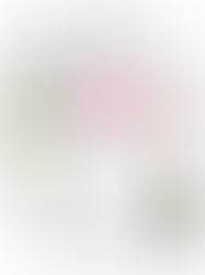 The Well Appointed House Gift Guide