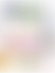 The Six Bells Gift Guide