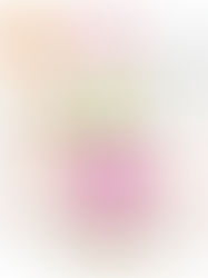 Modatrova Summer Party Gift Guide