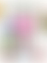 The Marché Gift Guide