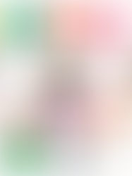 Katie Sturino Inspired Gift Guide