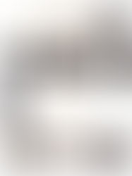 Black Friday Favorites Gift Guide