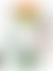 The Housewarming Gift Guide