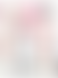 Under $95 Finds Gift Guide