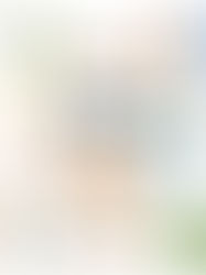 Amazon Finds Gift Guide