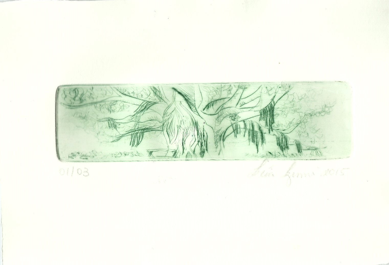 Árvore (verde) parque da luz