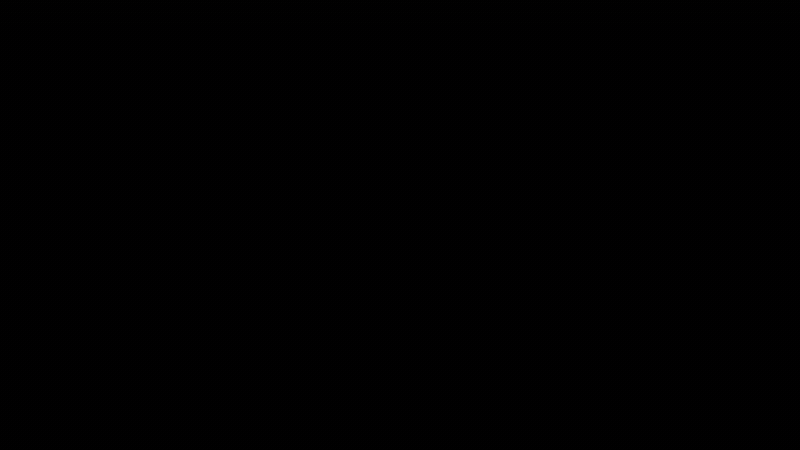 Racetrack_02.gif