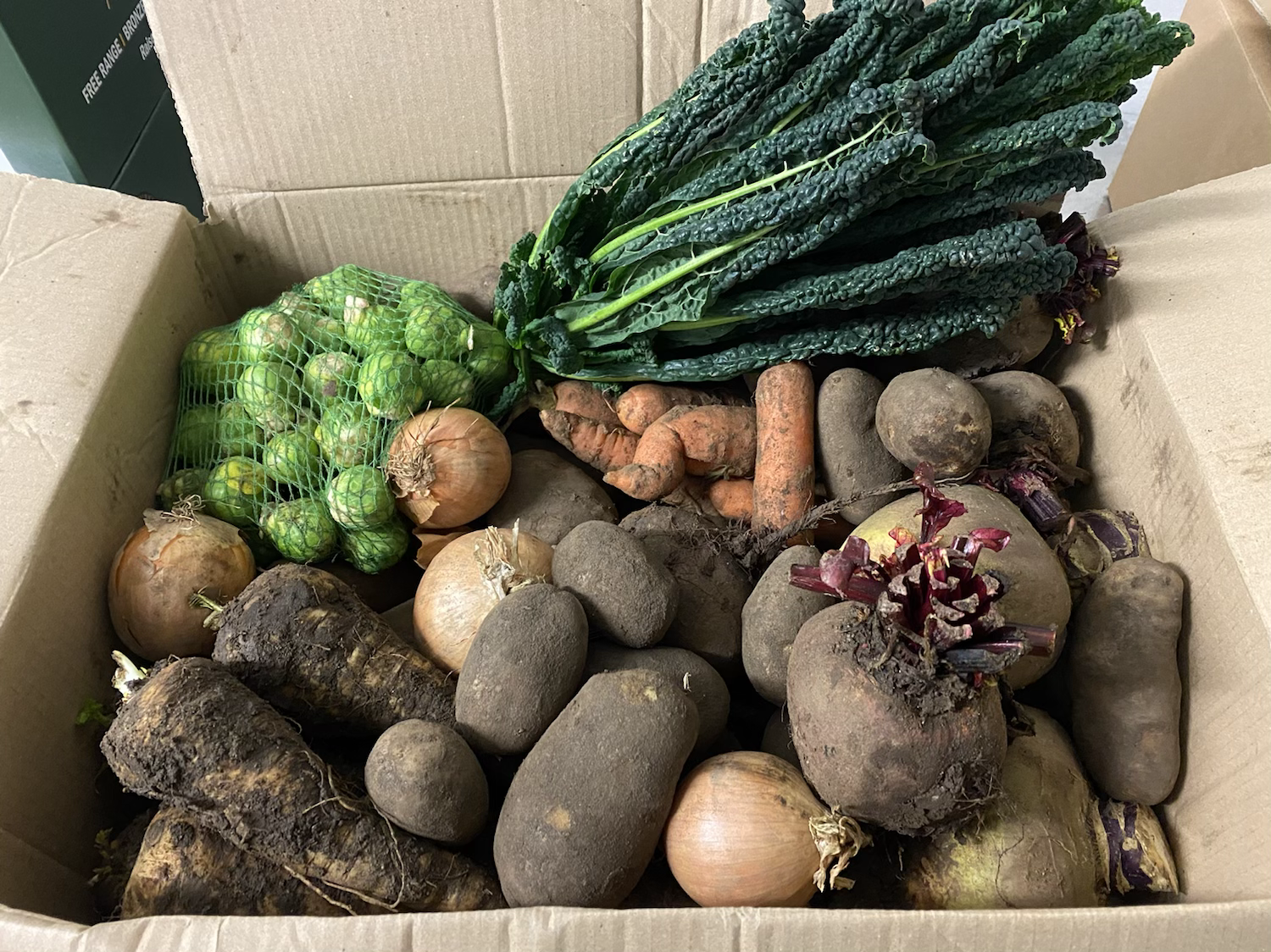 Christmas Veg Box - Medium