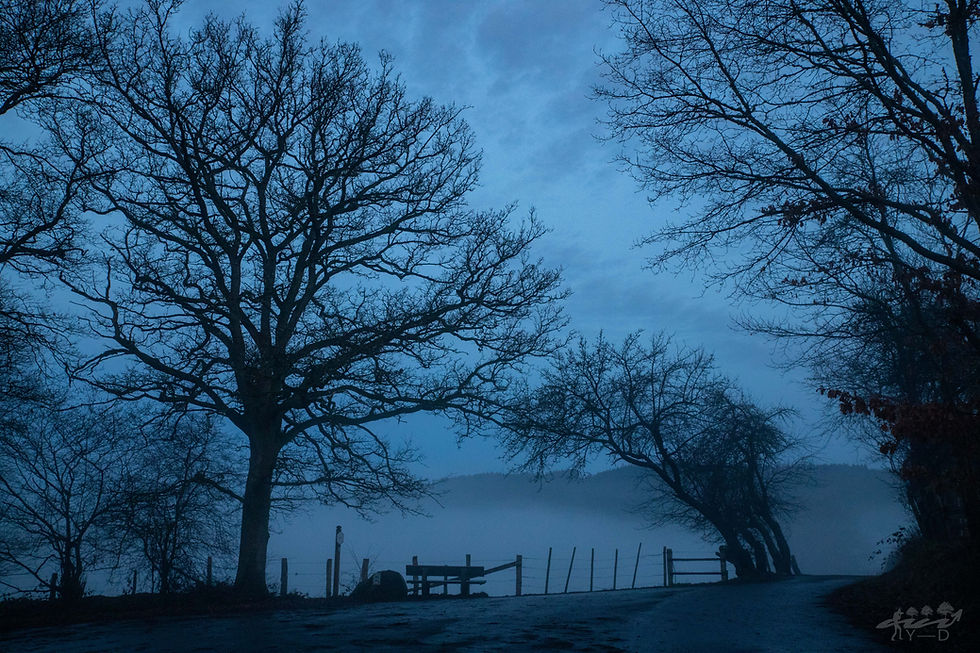 Les deux rochers, Vallée de la Warche, Bellevaux, Photo de paysage, Wallonie, Wallophoto