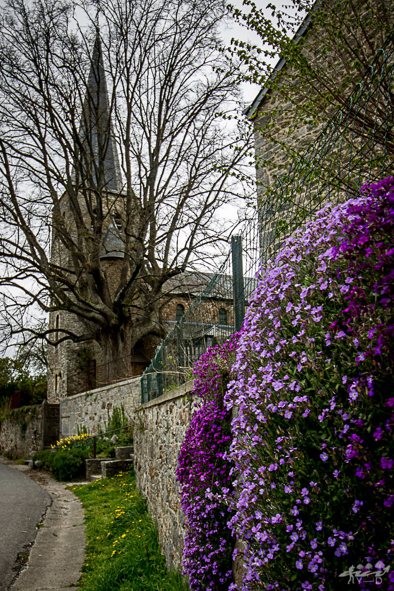 Eglise Sainte Walburge, Wéris