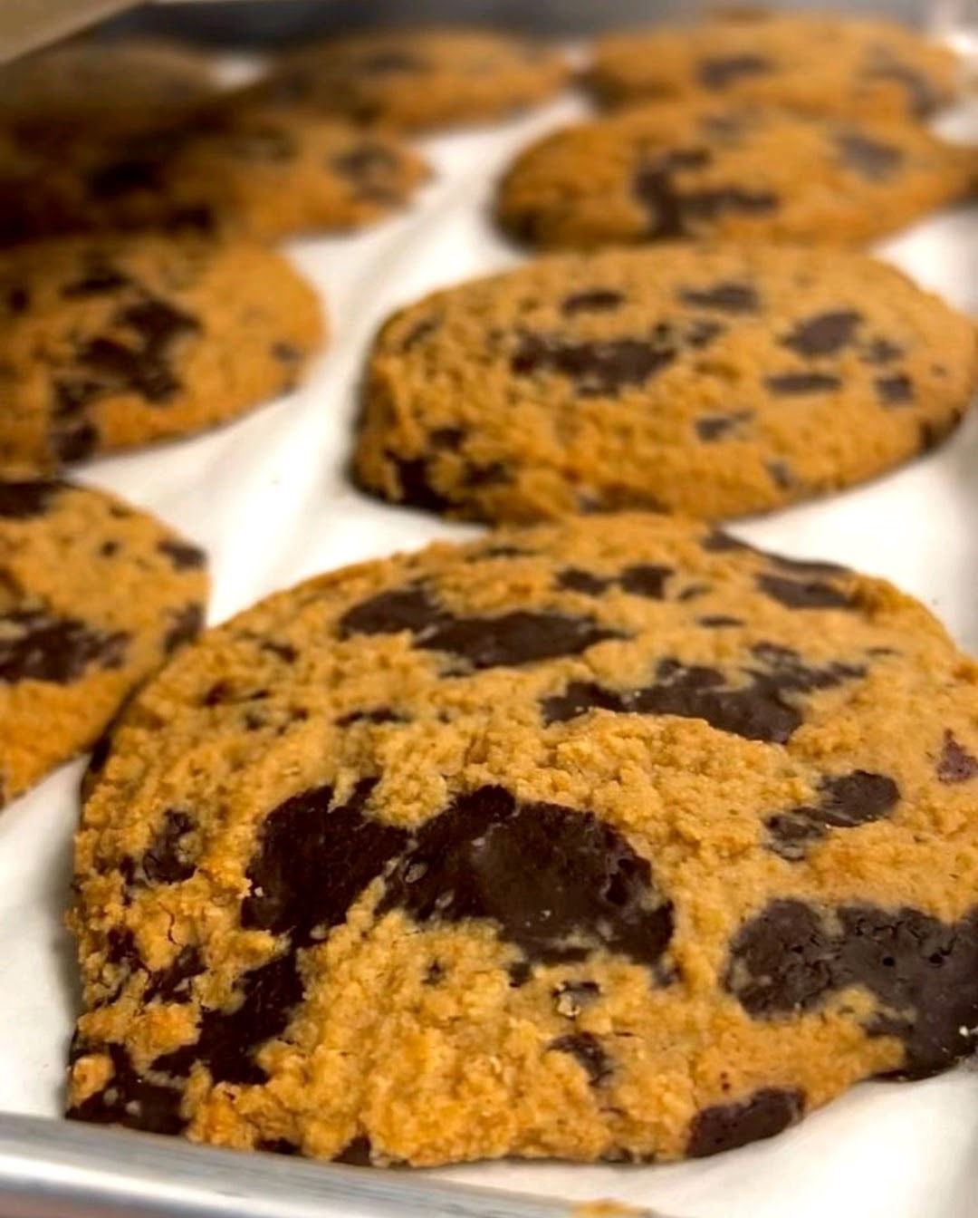 Peanut_chocolate chip cookie (large)