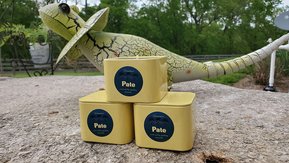Thumbnail: 8oz Citronella Candle