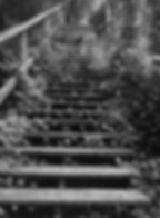 David Coates-stairs_edited.jpg