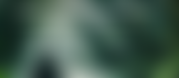 Na agitada sociedade contemporânea, caracterizada pela hiperatividade e uma sensibilidade aguçada, momentos de tranquilidade e solidão são raros, mas essenciais, e muitos de nós carecem deles.