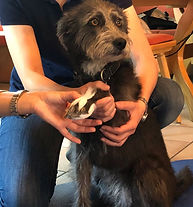 IMG-20180930-WA0020_edited.jpg