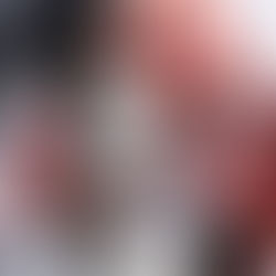 MARQUEZ É O CAMPEÃO 2025 DA MOTOGP