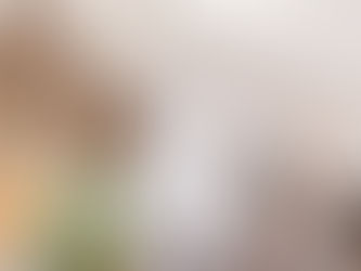 The Ultimate Guide to Choosing Your Dream Wedding Dress